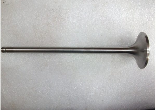 WARTSILA L20 EXHAUST VALVE