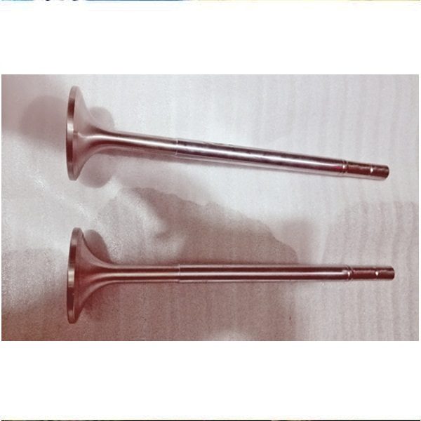 EXHAUST VALVE