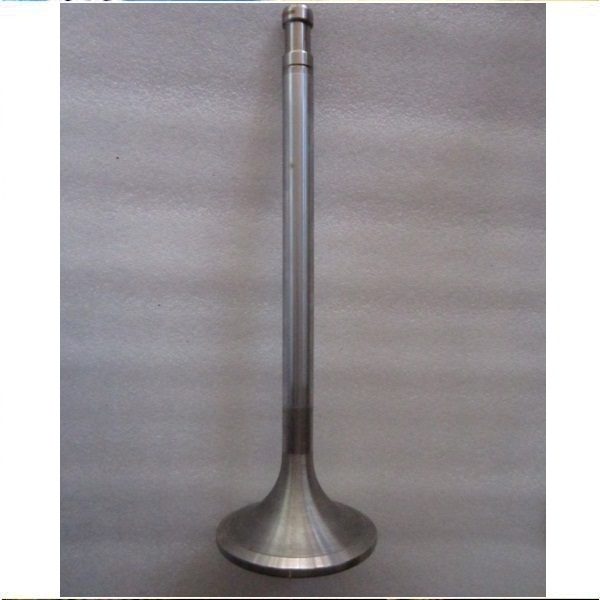EXHAUST VALVE