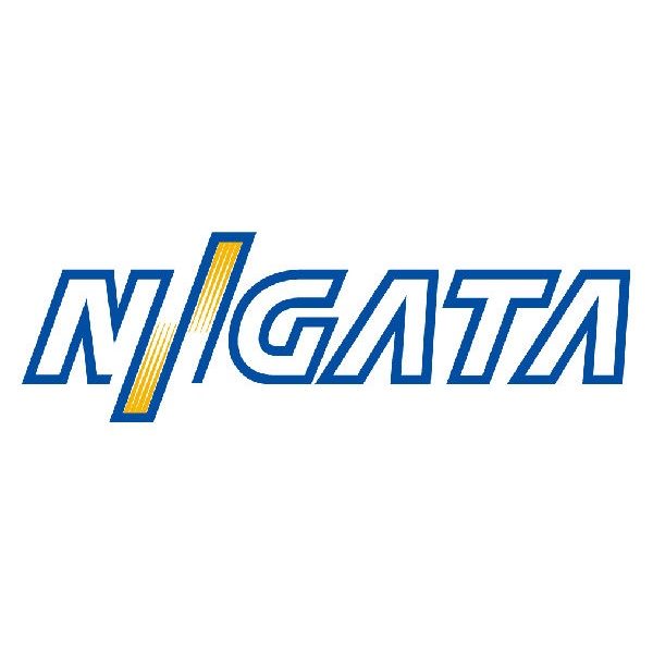 NIIGATA ENGINES